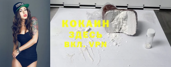 твердый Осташков