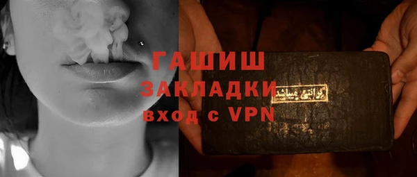 гашик Няндома