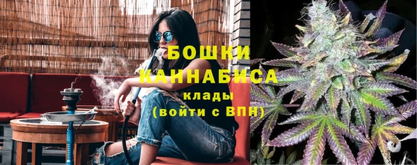 трава Осинники