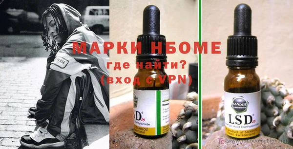 гашик Няндома