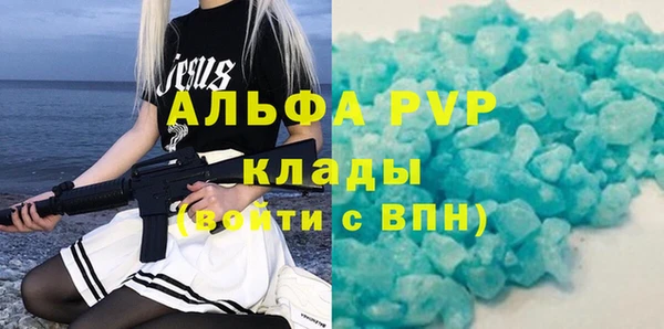трава Осинники