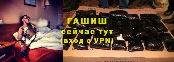 трава Осинники