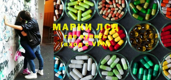 трава Осинники